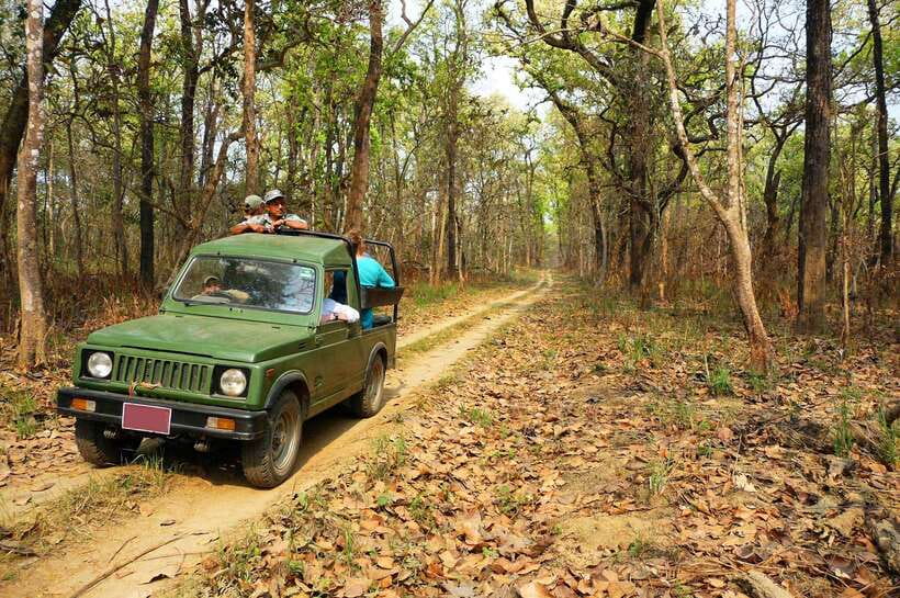 From Kathmandu/Pokhara: 2, 3, or 4-Day Chitwan Jungle Safari - Getting there from Kathmandu or Pokhara: the travel day you can’t ignore