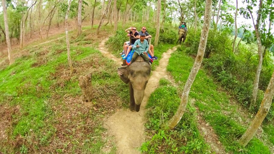 From Kathmandu/Pokhara: 3-Day All-Inclusive Chitwan Safari - Rapti River Canoe Time: Where Wildlife Odds Get Better Than You Expect