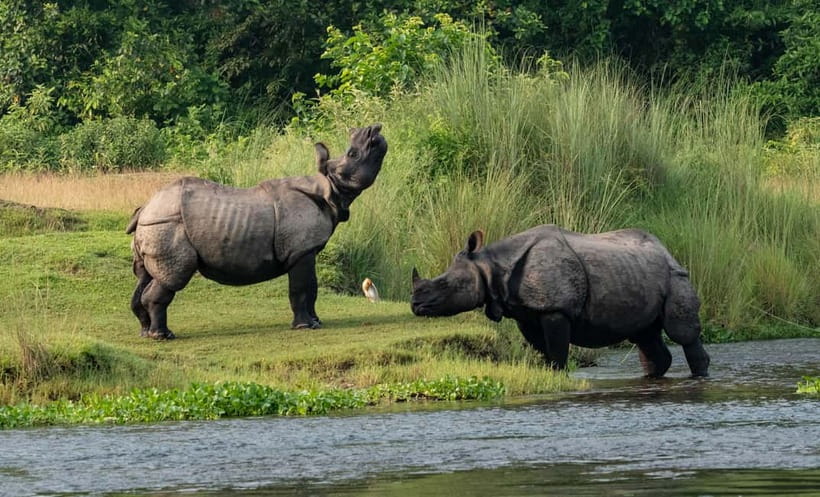From Kathmandu/Pokhara: 3-Day Chitwan National Park Tour - Getting to Chitwan from Kathmandu or Pokhara without turning it into a slog