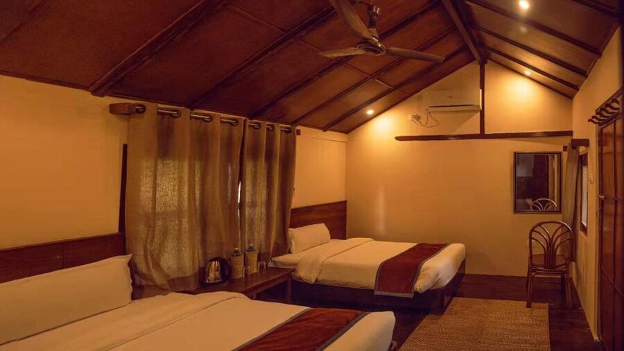 From Kathmandu/Pokhara: Private 3-Day Chitwan Safari Tour - Value and Price: Is $168 Per Person a Good Deal?