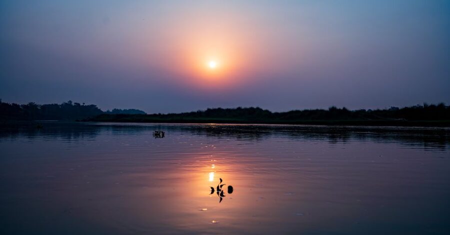 From Kathmandu/Pokhara: Private 3-Day Chitwan Safari Tour - Wildlife Reality Check: How to Expect More Than Just Tigers
