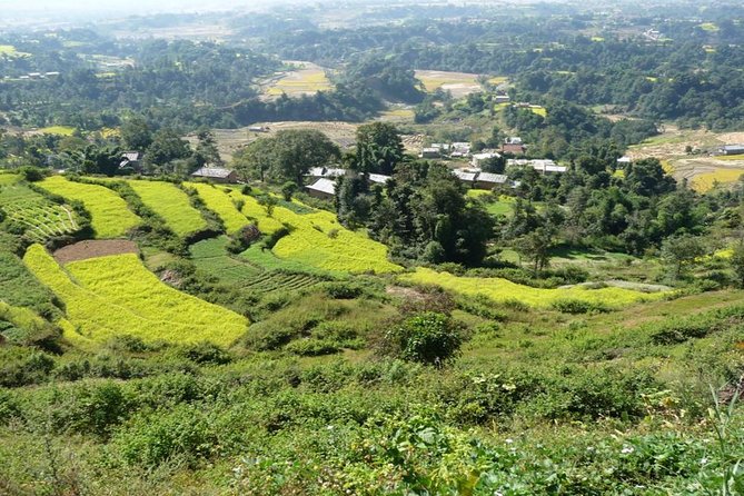 Full Day Bhaktapur Changunarayan And Nagarkot Tour in Nepal - Who This Tour Is Best For (And Who Might Want a Different Plan)