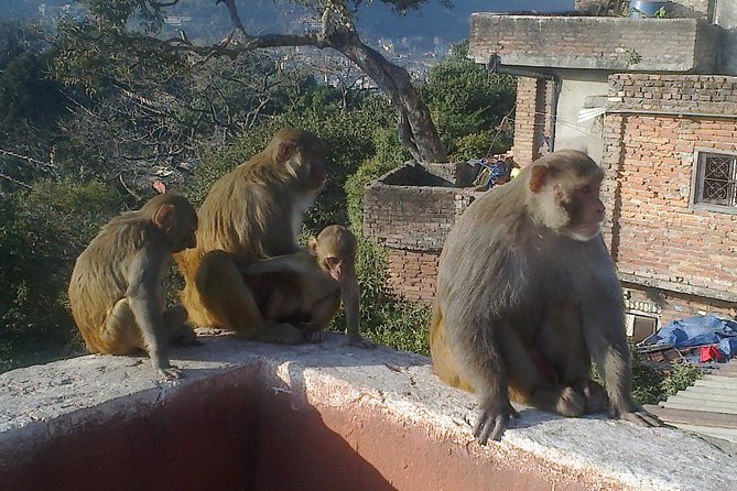 Full Day Kathmandu City Sightseeing Tour of UNESCO Heritage Sites - Patan’s temple cluster: Krishna Mandir, Bhimsen, and Taleju Bhawani