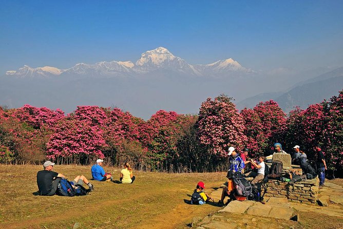 Ghorepani Poon Hill Trek - Price and value: What $380 includes, and what that means for you