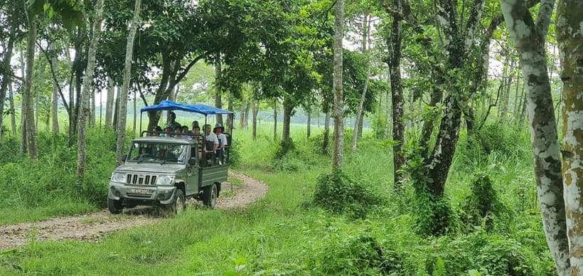 Kathmandu: 3-Day Chitwan Safari Tour with Hotel Transfers - Day 3: a morning safari finish and back to Kathmandu