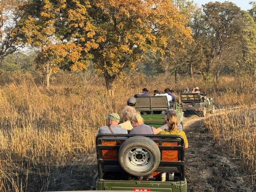 Kathmandu: 3-Day Chitwan Safari Tour with Hotel Transfers - Guides and small-group feel: what people consistently appreciate