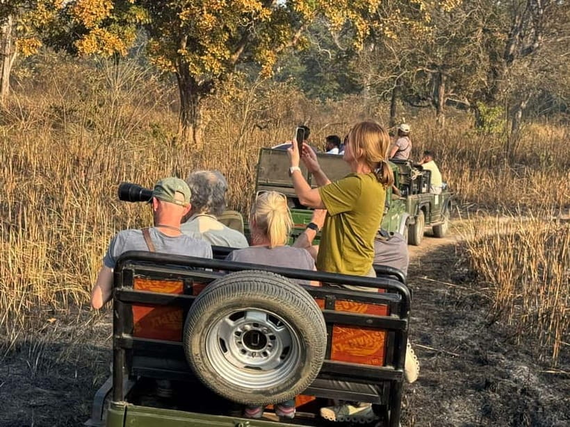 Kathmandu: 3-Day Chitwan Safari Tour with Hotel Transfers - Price and what you actually get for $151