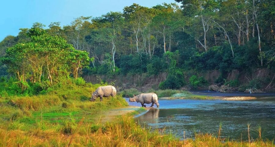 Kathmandu: 4-Day Private Chitwan National Park Safari Tour - Key takeaways before you go