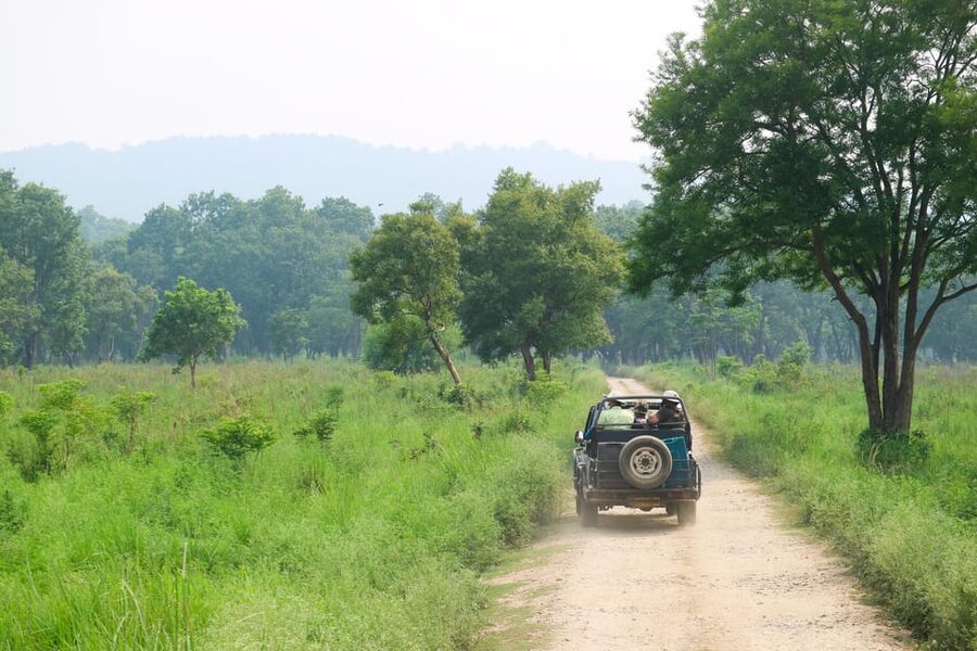 Kathmandu: 4-Day Private Chitwan National Park Safari Tour - Day 4: a guided nature walk in the morning, then back to Pokhara or Kathmandu