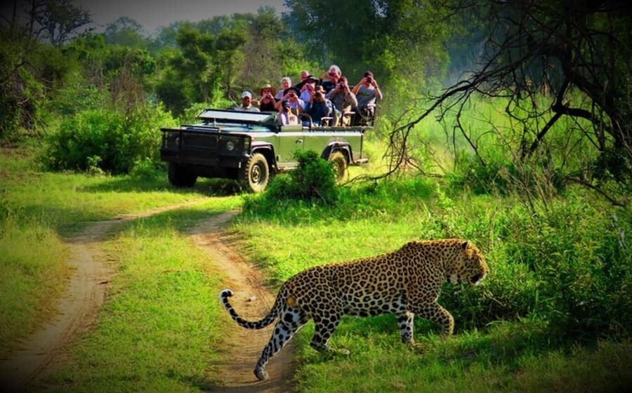 Kathmandu: 4-Day Private Chitwan National Park Safari Tour - Price and value: why about $202 per person can make sense