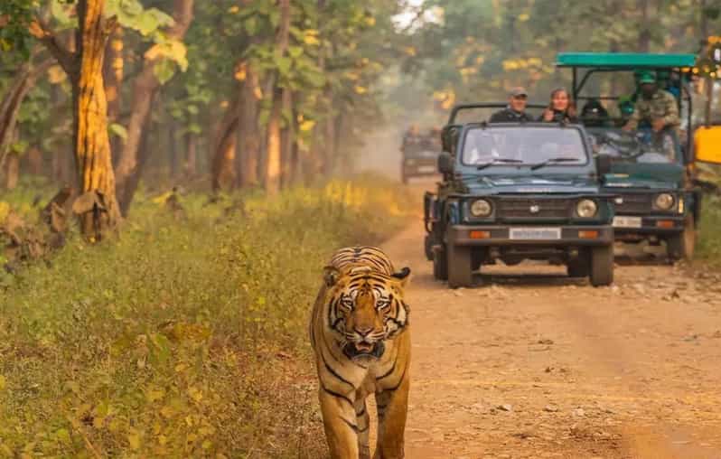 Kathmandu: 4-Day Private Chitwan National Park Safari Tour - What makes this trip feel well run (not just scheduled)