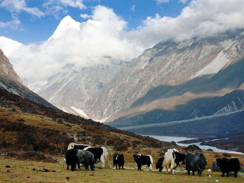 Kathmandu: 6 Days Langtang Valley Trek with Kyanjin Ri - What the guide and comfort setup gets right