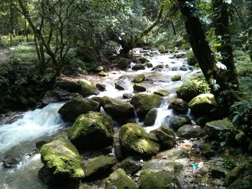 Kathmandu: Chisapani Nagarkot 3-Days 2-Nights Trek - Why this Nagarkot trek feels doable but still delivers mountain views