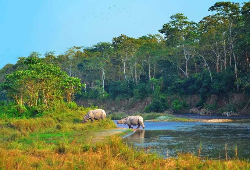 Kathmandu/Pokhara: 3 Day Chitwan Jungle Safari Tour - Day 2 on the Rapti River: canoe time for crocodiles and birds