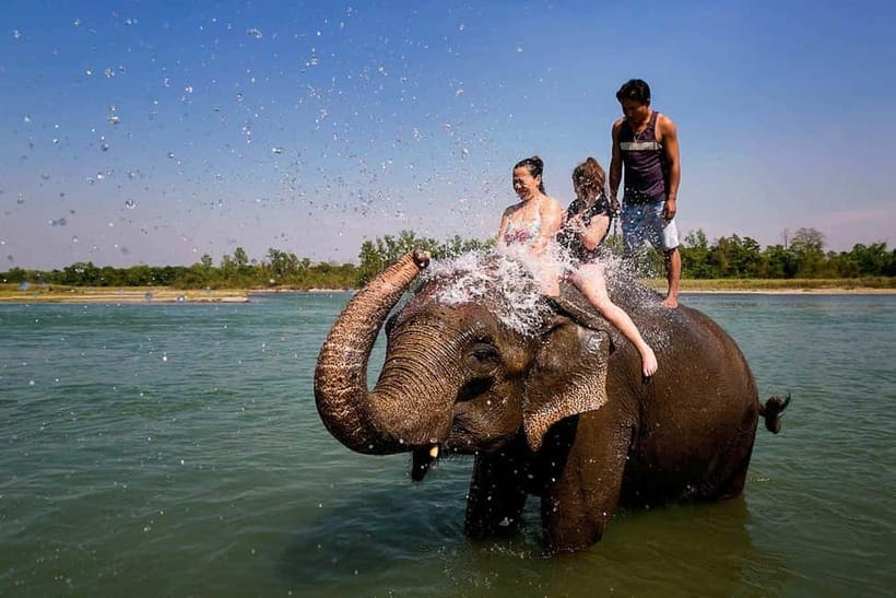 Kathmandu/Pokhara: 3 Day Chitwan Jungle Safari Tour - Elephant breeding center visit: why it fits this itinerary
