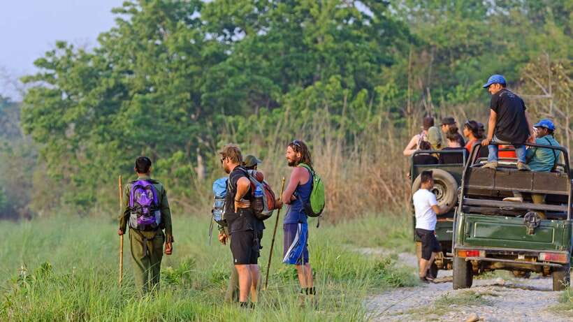 Kathmandu/Pokhara: 3 Day Chitwan Jungle Safari Tour - The jeep safari: where rhinos, deer, and crocodiles rumors become real