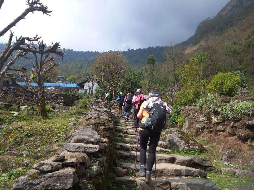 Kathmandu/Pokhara: 5-Day Annapurna Base Camp (ABC) Trek - Day 2, Sinuwa to Deurali: waterfalls and a noticeable altitude shift