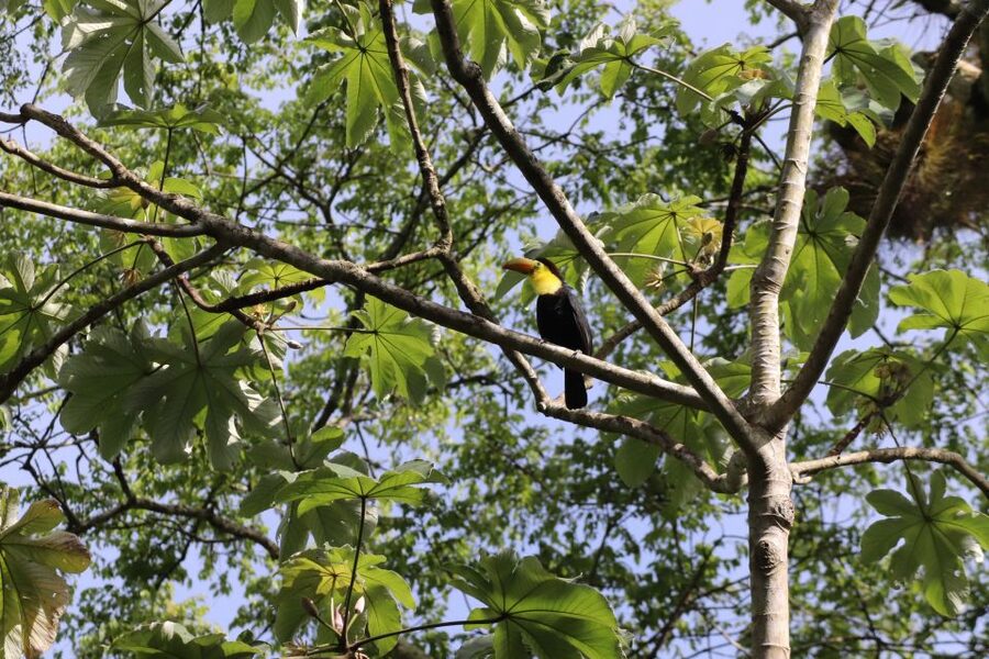 Kathmandu/Pokhara: Wildlife, Culture and Jungle Safari Tour - Where Guides Can Make or Break the Day