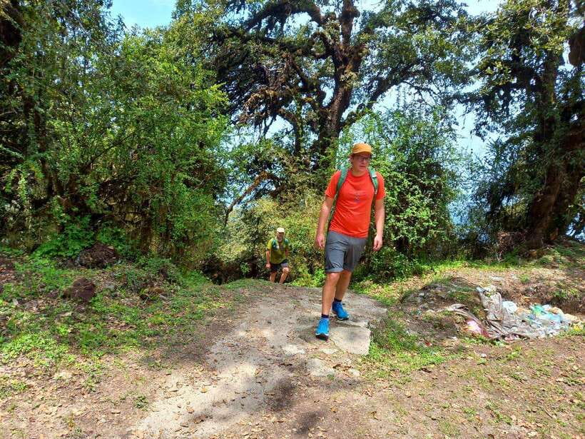 Kathmandu: Shivapuri Day Hike with Lunch - Key takeaways before you go