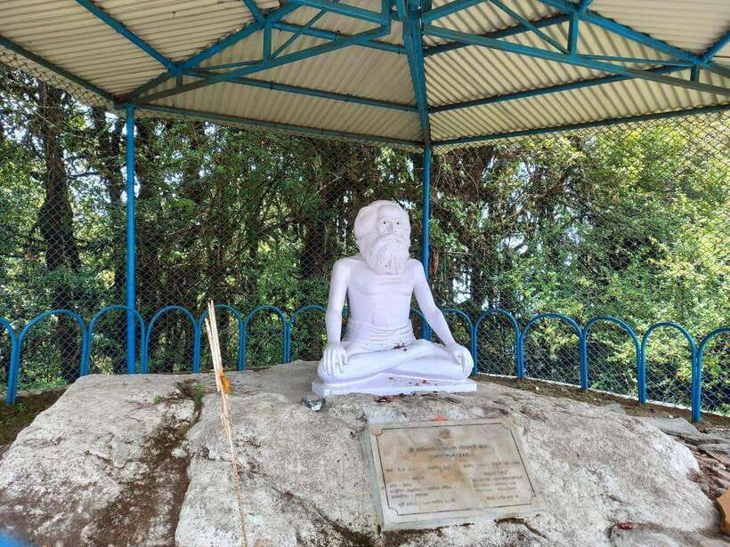 Kathmandu: Shivapuri Day Hike with Lunch - Forest walking, birds, and the wildlife moments you actually remember