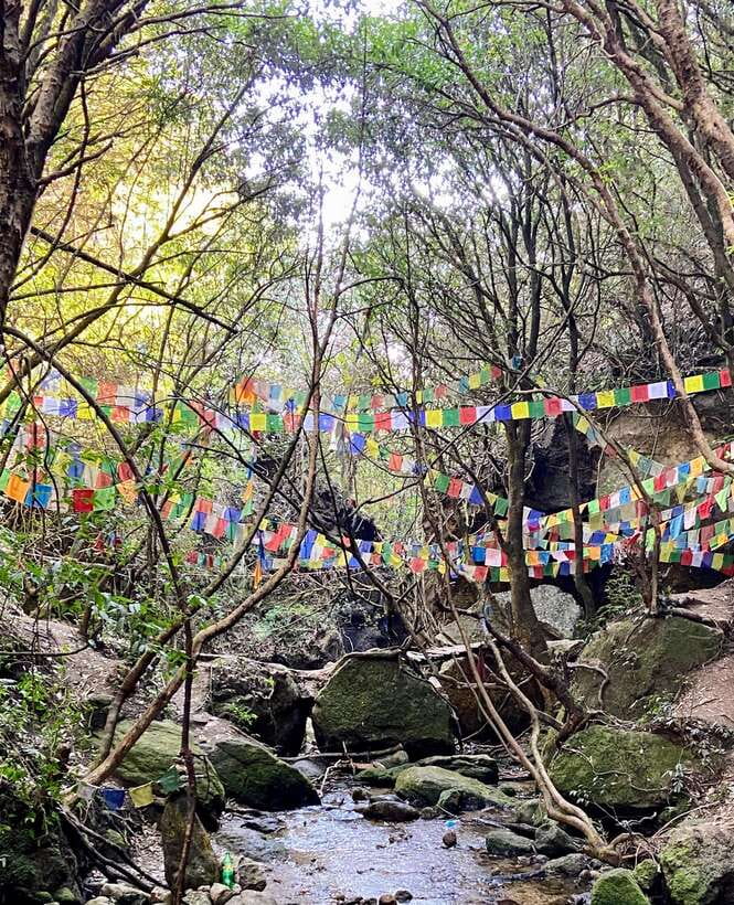 Kathmandu: Shivapuri Hill Day Hike with Lunch box - Shivapuri National Park, a one-day escape with big view energy