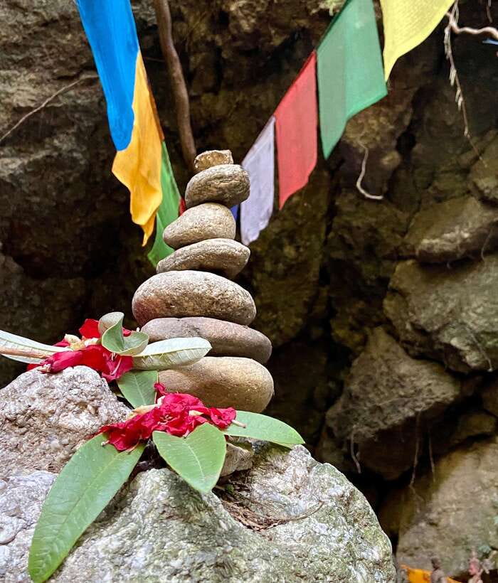 Kathmandu: Shivapuri Hill Day Hike with Lunch box - The hike itself: green forest trails and birdsong you can actually notice