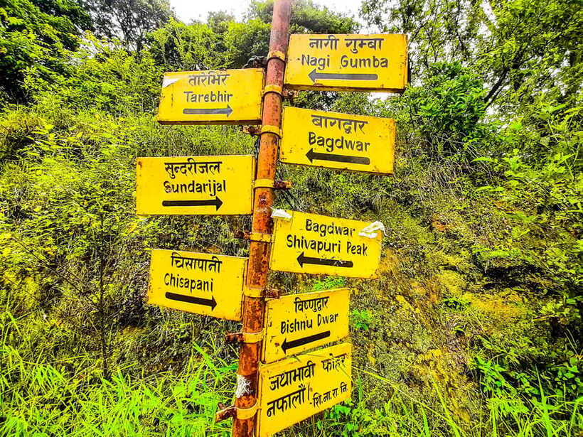 Kathmandu: Shivapuri Hill Day Hike with Lunch box - Who should choose this Shivapuri hill day hike