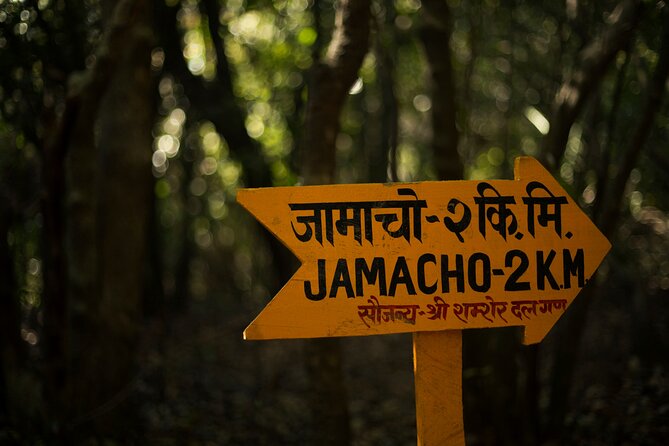 Kathmandu Shivapuri National Park and Nagarkot Hiking - 3 Days - Day 2: Chisopani village, snow-cap views, and the Nagarkot approach