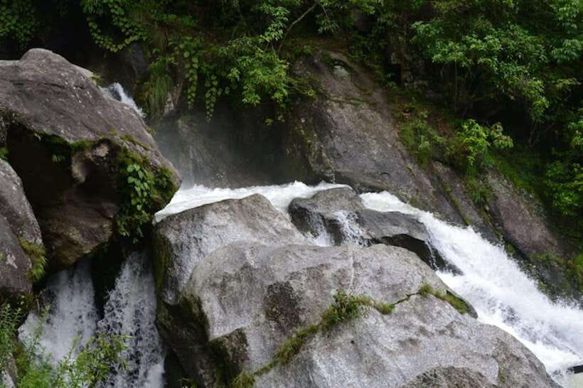 Kathmandu: Shivapuri National park Day Hiking - From Budhanilkantha into Shivapuri, the walk starts with meaning