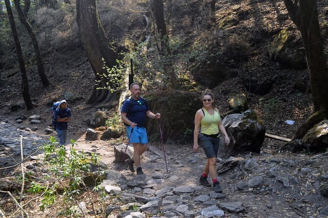 Kathmandu to Langtang Valley 7-Day Trek - Key highlights to know before you go