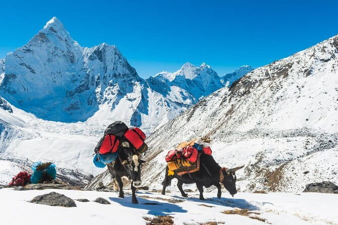 Langtang Trek from Kathmandu 7 Days - Should you book the Langtang Trek from Kathmandu (7 days)?
