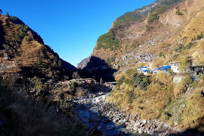 Langtang Valley Trek - Day 6 Back Toward Lama Hotel: Pine Forests, River Views, and Giant Beehives