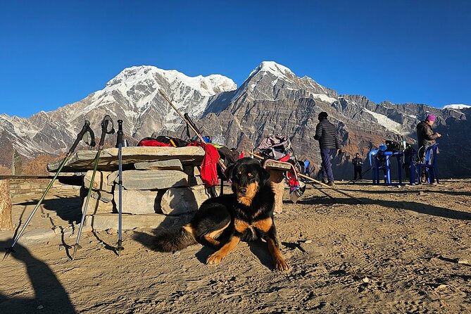 Mardi Himal Trek - Above 3,000m: the “shorter days” that actually protect your trip