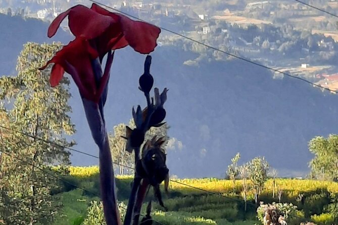 Nagarkot (2175m) Sunrise and Day Hike to Changunarayan Temple - How This One-Day Nagarkot Sunrise Hike Really Feels