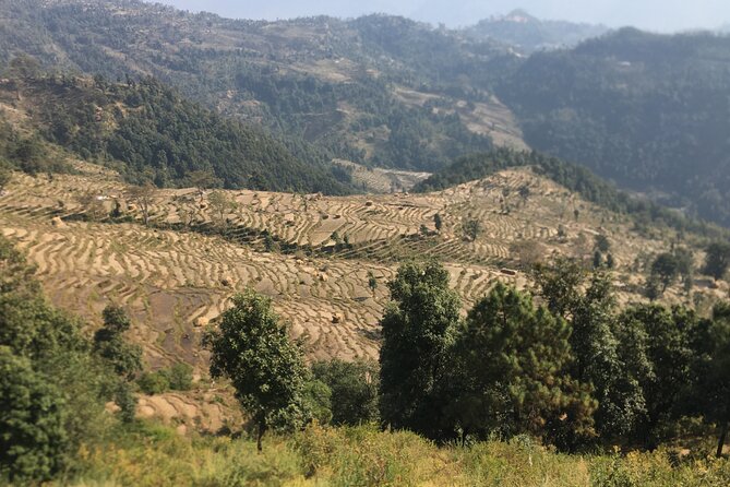 Nagarkot Full-Day Hiking Tour from Kathmandu - The walk itself: villages, greenery, and a moderate effort you can manage