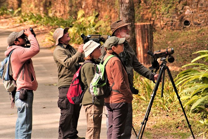 Nepal Birding - What you will be doing on the ground