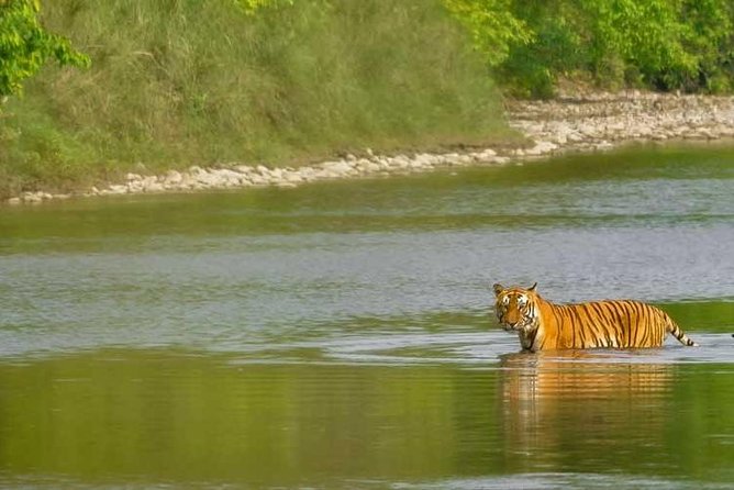 Nepal Classic Tour -12 Days - Lumbini: Buddha birth sites with a local guide plan