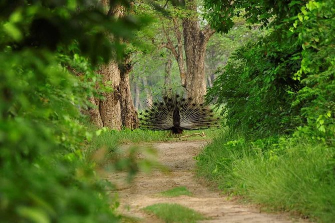 Nepal Classic Tour -12 Days - Palpa and Tansen: hill views and a calmer Nepal pace