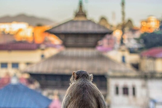 PashupatiNath and BoudhaNath - Private/Small Group - Guru Lhakhang Monastery and the thanka stop for arts and mandalas