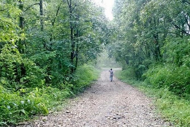 Phulchoki bird-watching tour - Why Phulchoki is a smart birding hill near Kathmandu