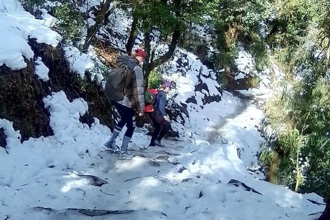 Poon Hill Trek package - Day 5: downhill walking to Syauli Bazzar, then back to Birethanti and Pokhara