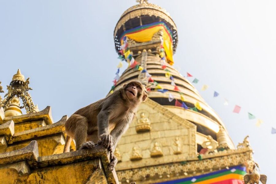 Spiritual Nepal: Expert insight into Multifaith Journey - Should you book this tour?