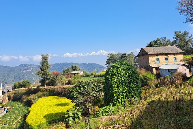 The Most Beautiful 1 Day Experience in Kathmandu Nepal - Price and value: what $80 buys in a long day